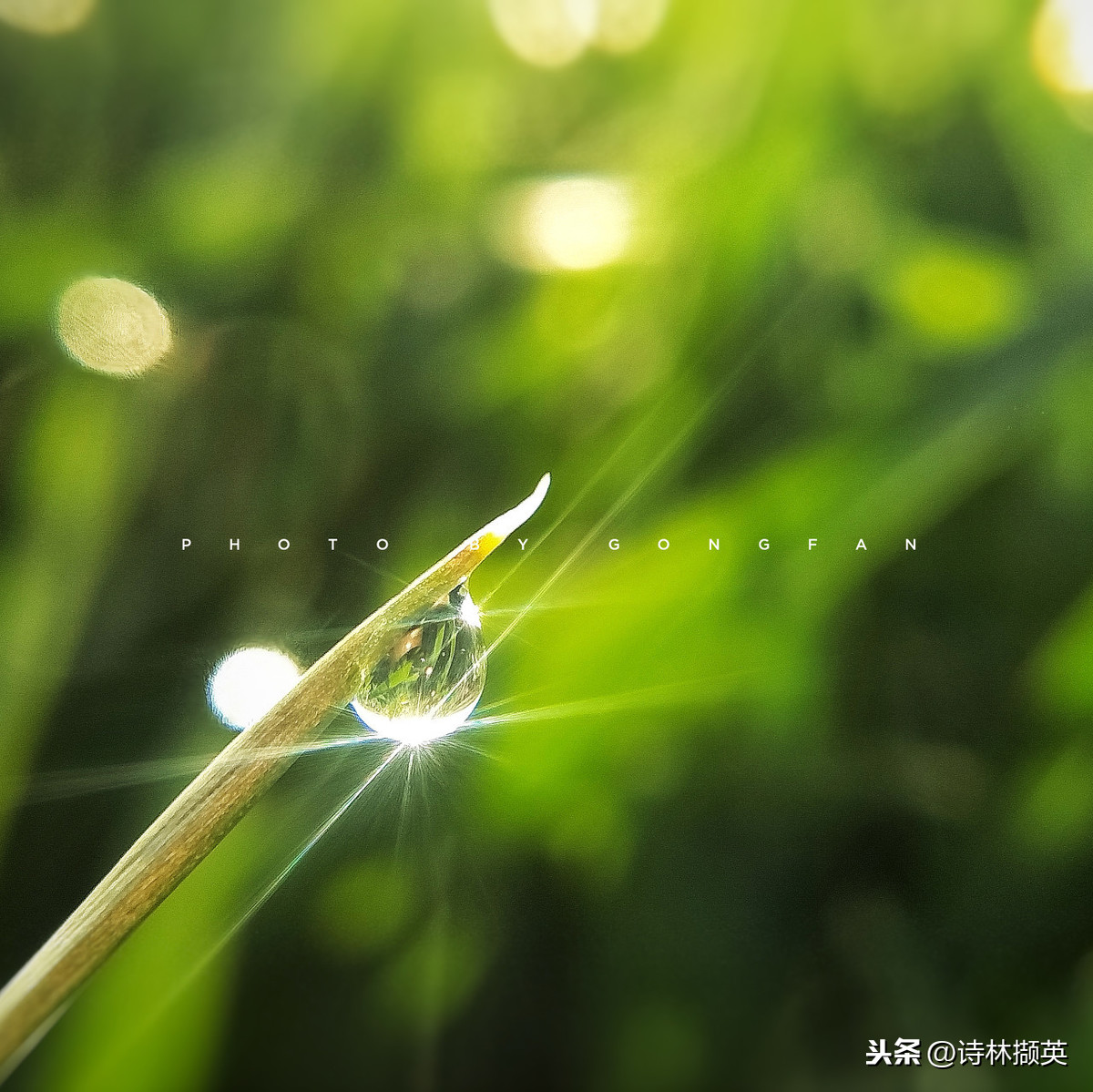 关于雨的古诗20首，美到令人心醉