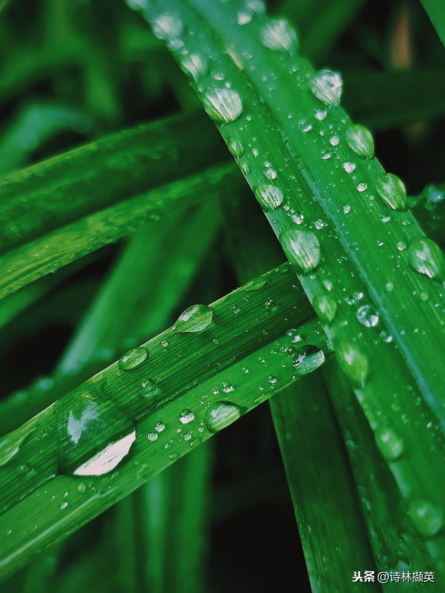 关于雨的古诗20首，美到令人心醉