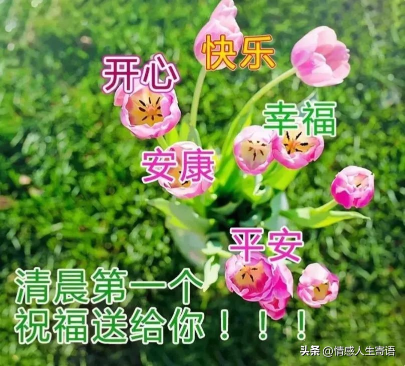 表示谢意的句子12句，你若情深，我必意重