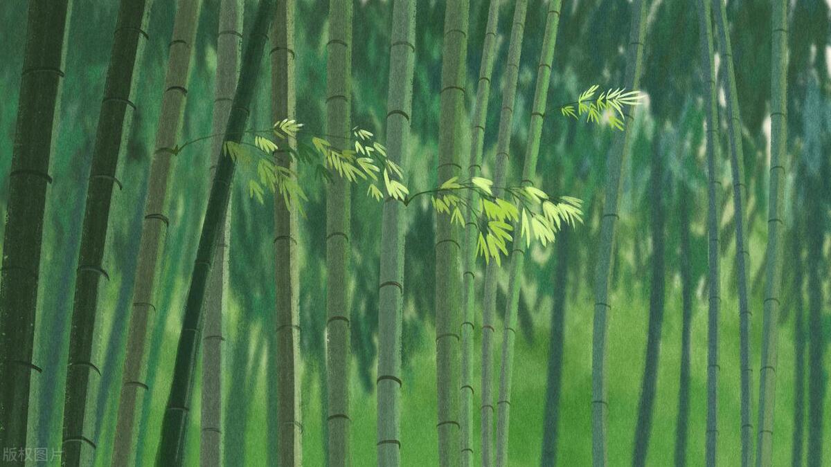 赞美立夏的句子20句，夏浅胜春最可人