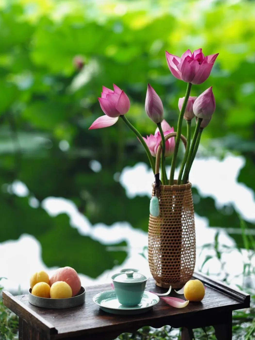 荷花的句子唯美短句40句，风吹荷花香，但惜夏日长
