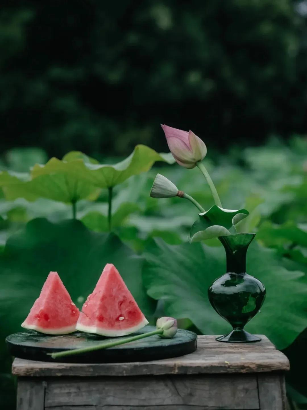 荷花的句子唯美短句40句，风吹荷花香，但惜夏日长