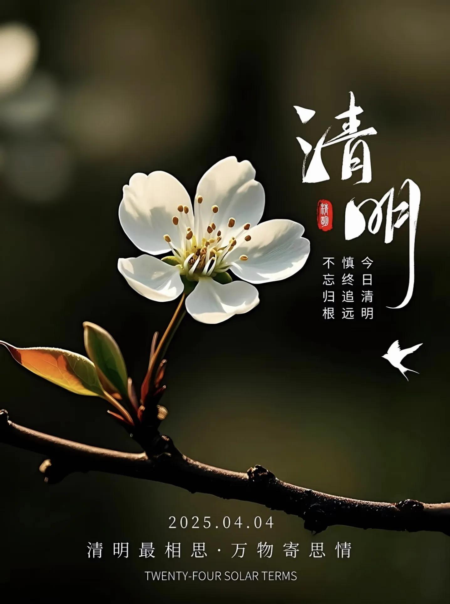 清明节的文案40句，总有一句适合你