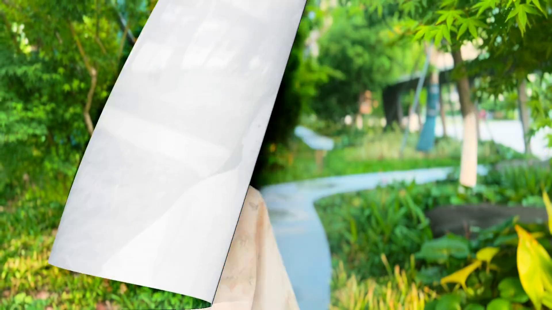 池上白居易（原文及简析）