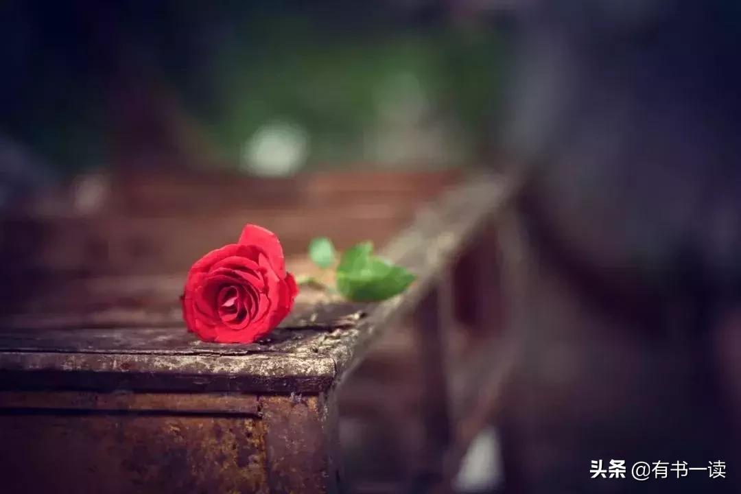 张小娴经典语录25句，看完受益良多