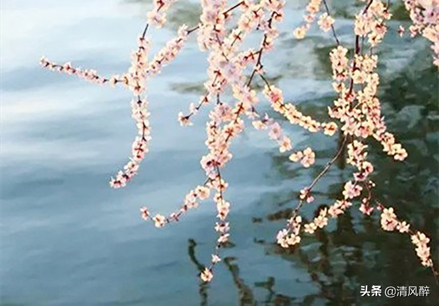 心灰意冷的文案15句，读完忍不住红了眼眶!