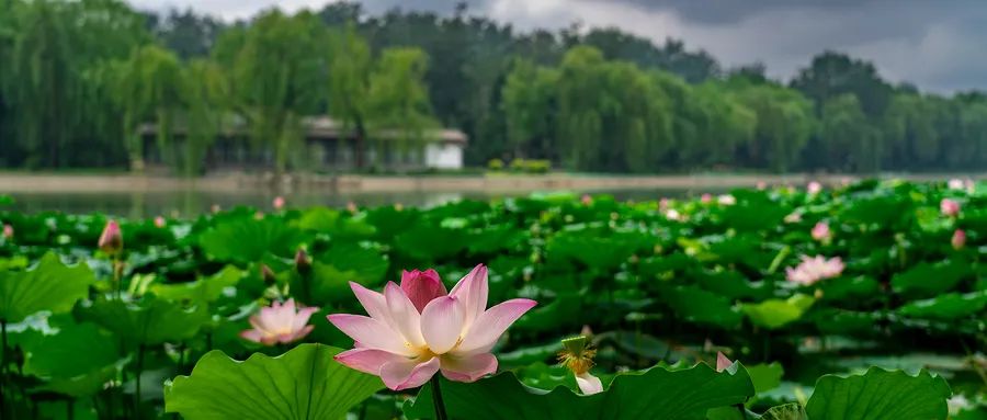 伤感的诗12句，一读就无限伤感！