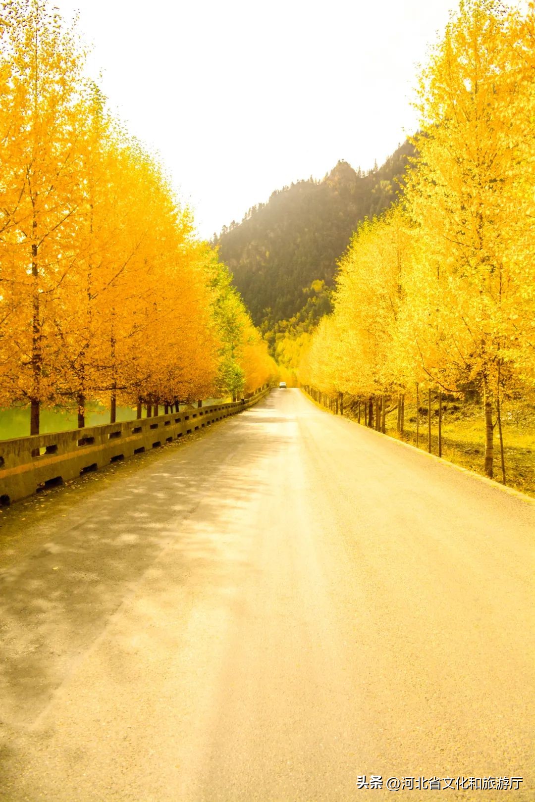 秋分诗词10首，窥见秋之静美