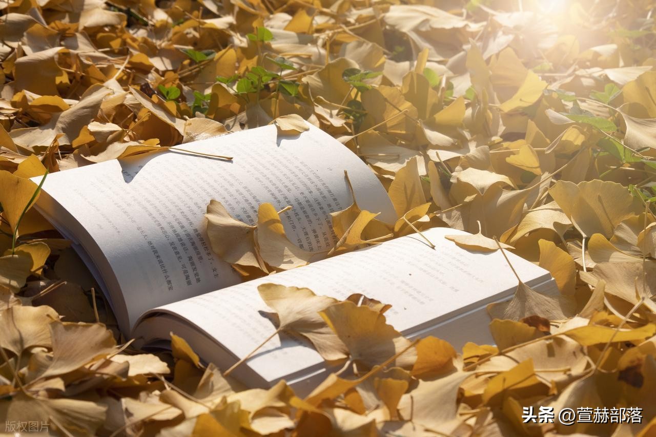 十一月你好的唯美句子15句，让我们和秋天好好道别