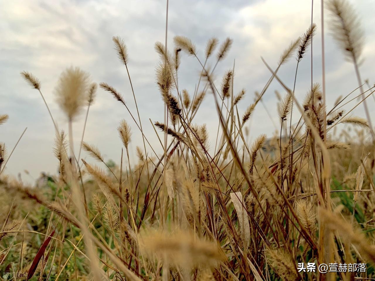 十一月你好的唯美句子15句，让我们和秋天好好道别