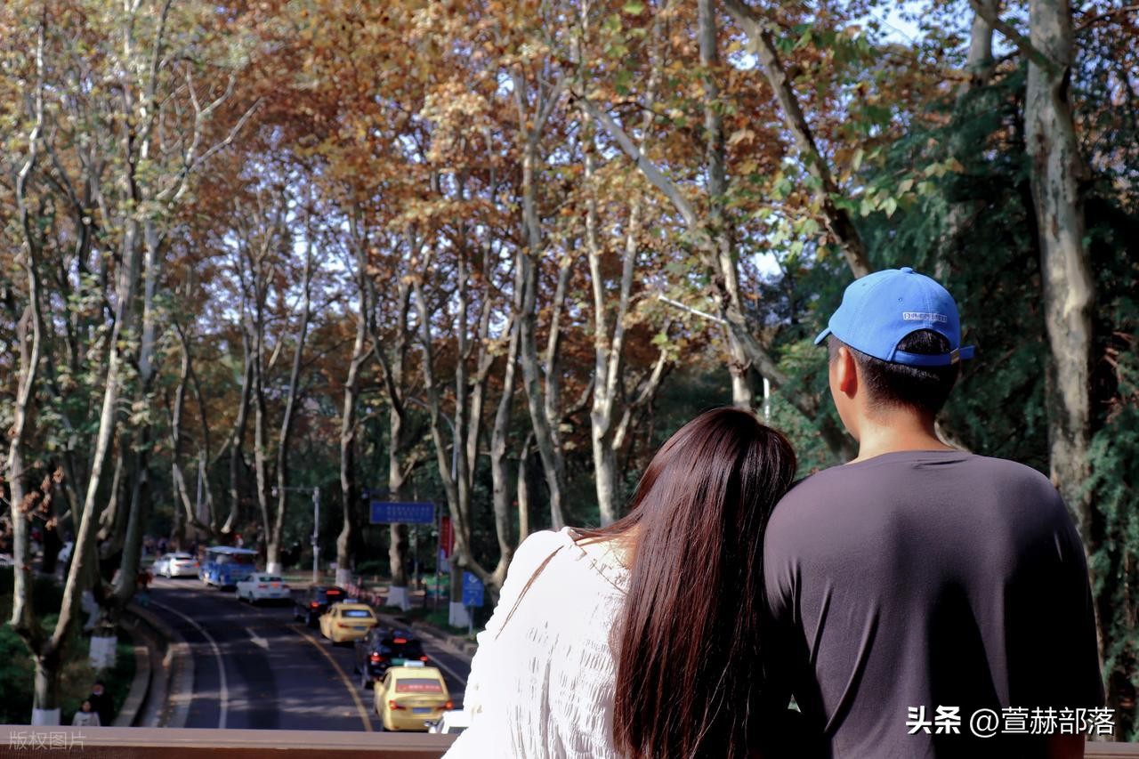 十一月你好的唯美句子15句，让我们和秋天好好道别