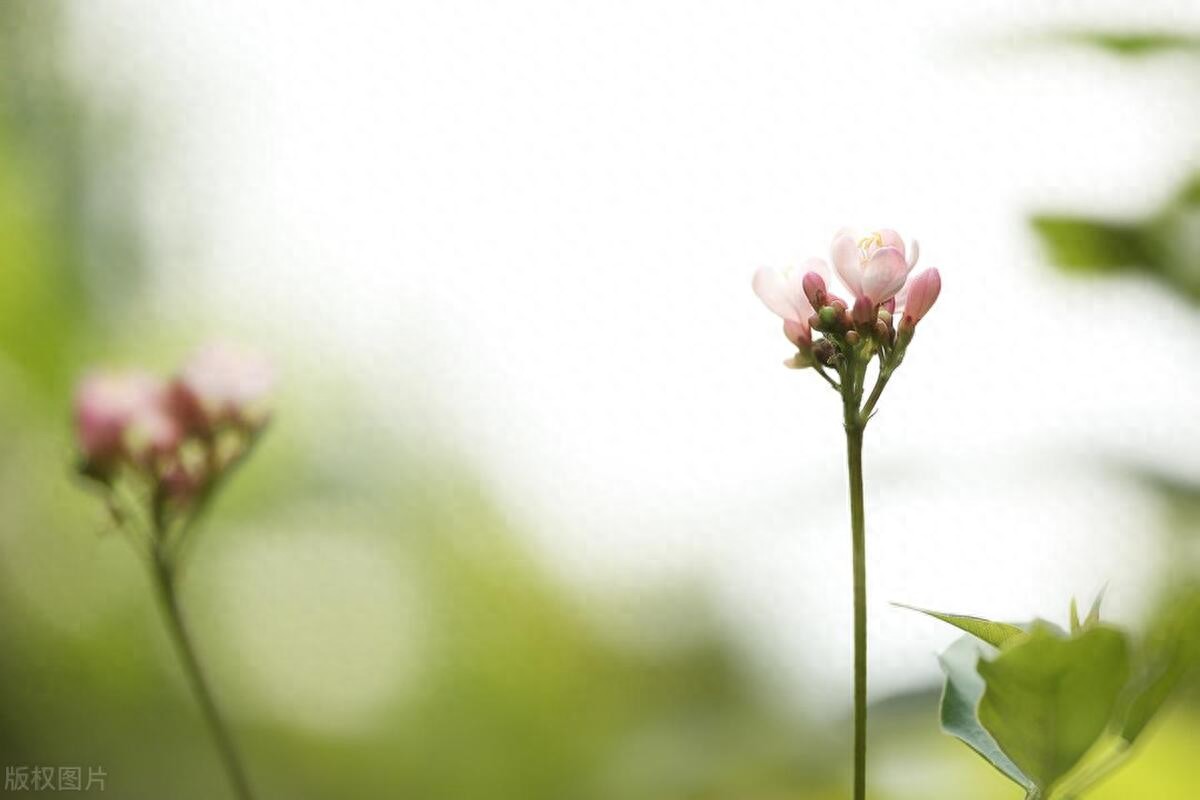 安慰人的经典语句27句，带你走出人生低谷