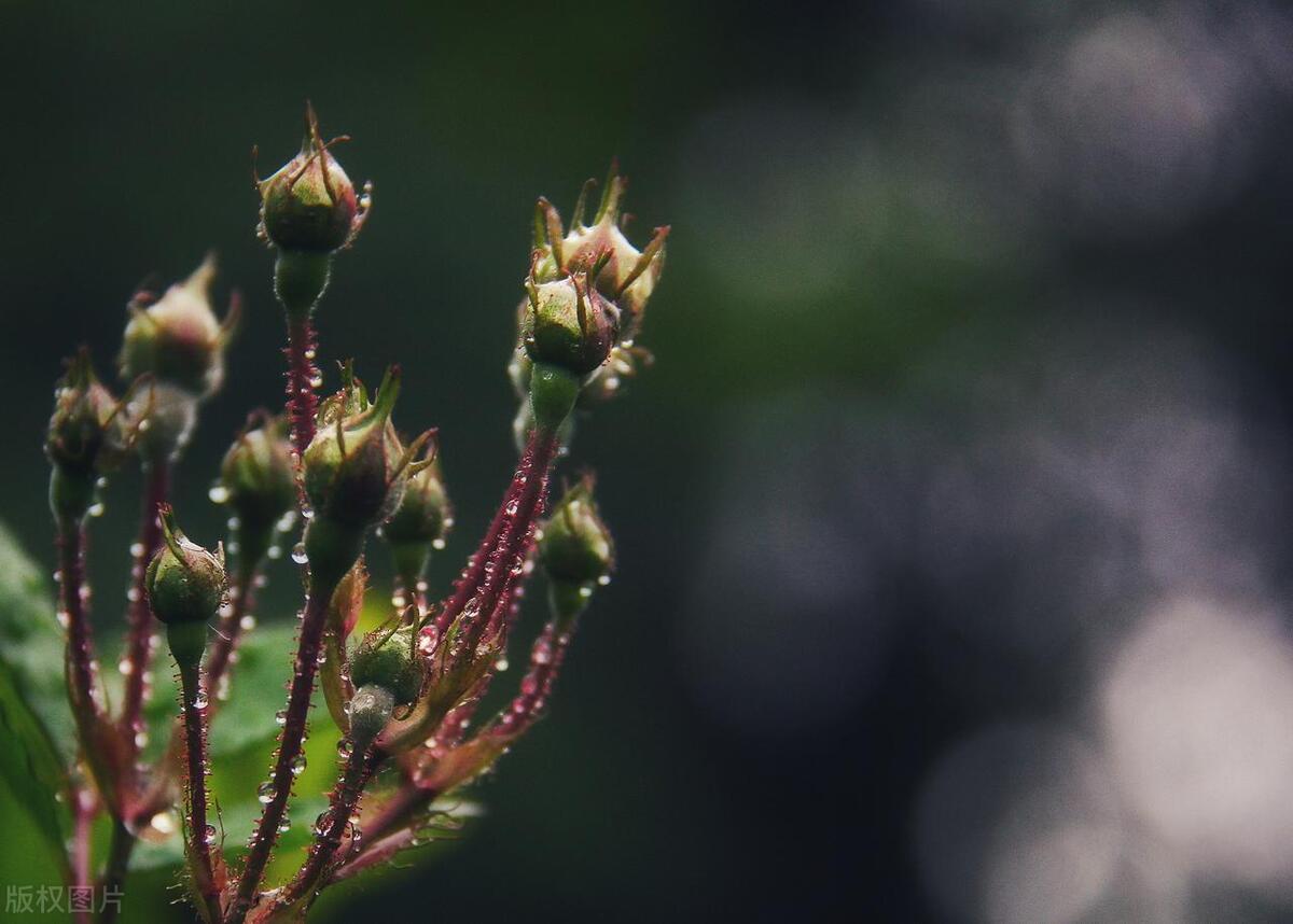 安慰人的经典语句27句，带你走出人生低谷