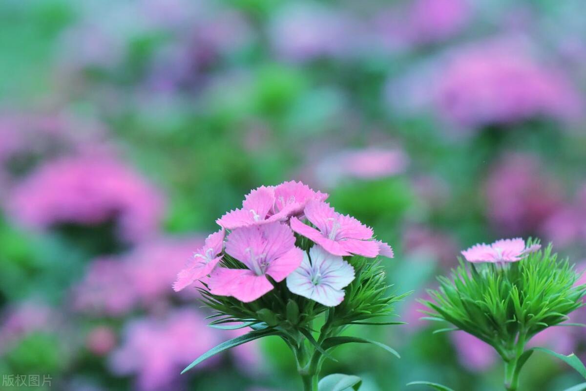 安慰人的经典语句27句，带你走出人生低谷