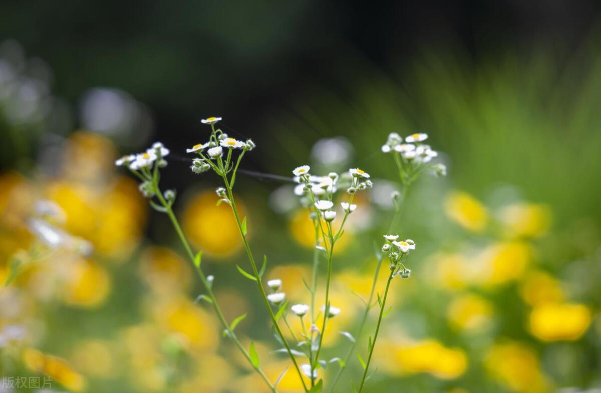 安慰人的经典语句27句，带你走出人生低谷