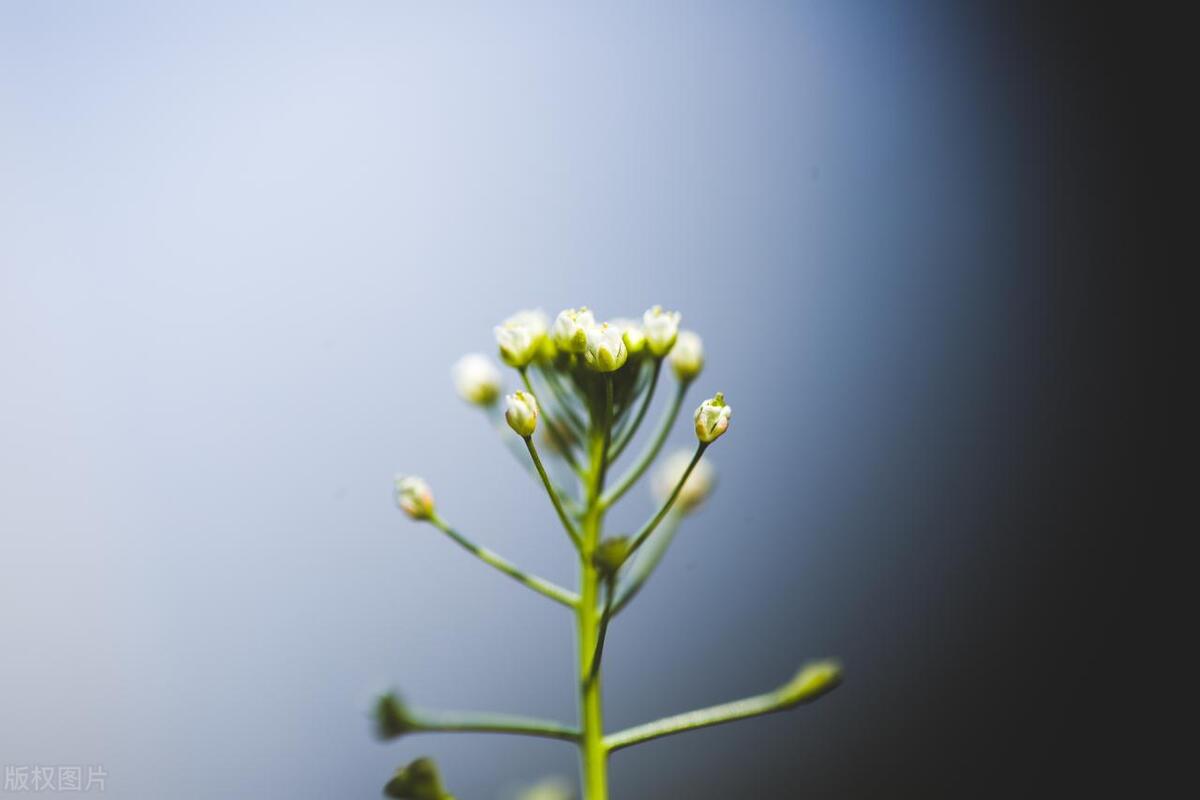 安慰人的经典语句27句，带你走出人生低谷