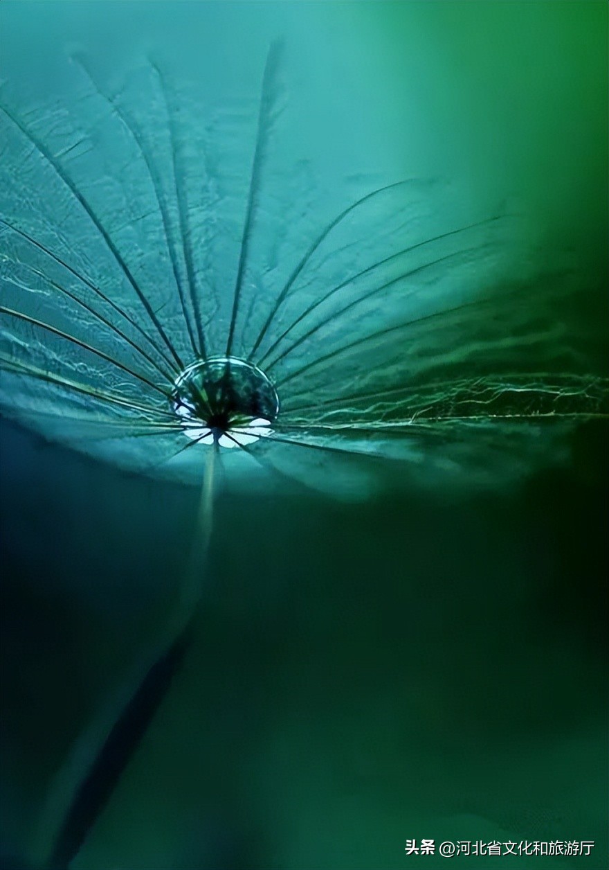 白露诗词10首，一起感受白露之美