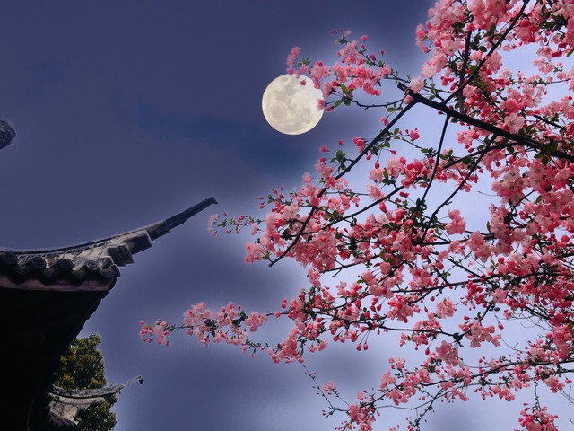 关于明月的诗句10首，来看跨越千年的温柔