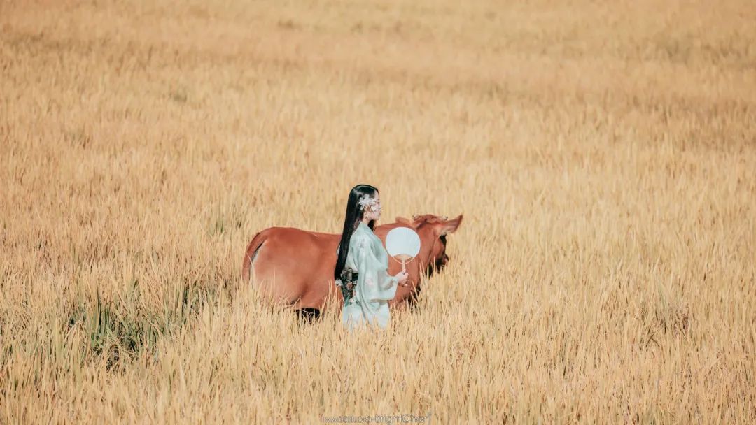 描写立秋的诗句7首，品读静美初秋