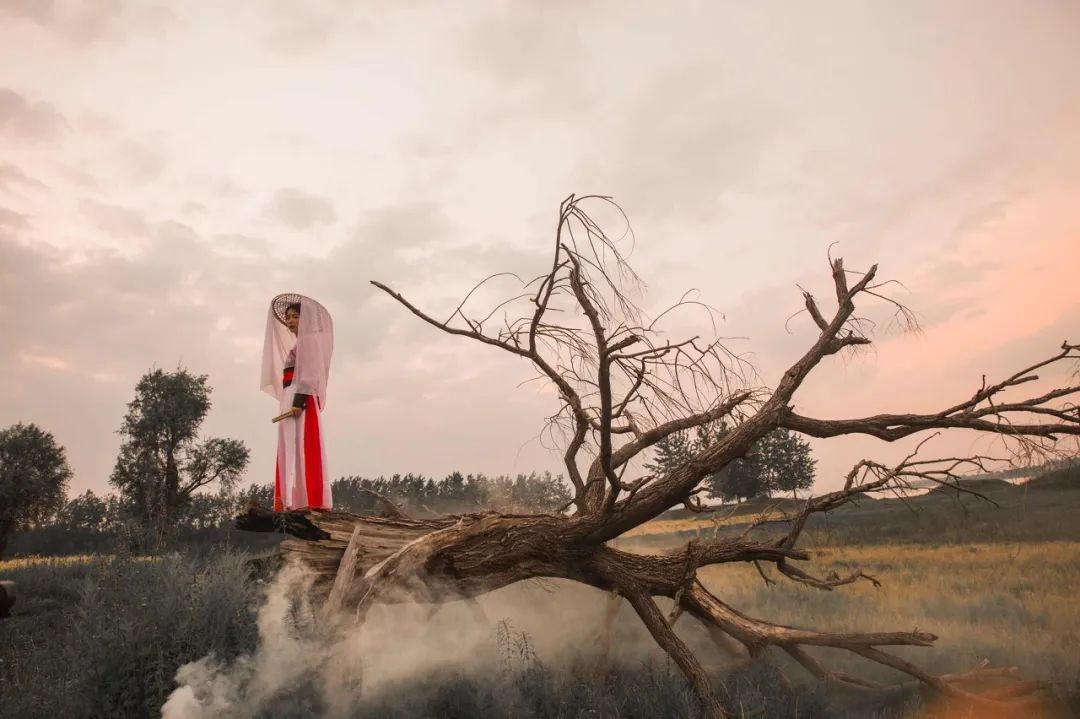 描写立秋的诗句7首，品读静美初秋