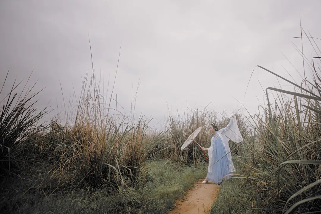 描写立秋的诗句7首，品读静美初秋