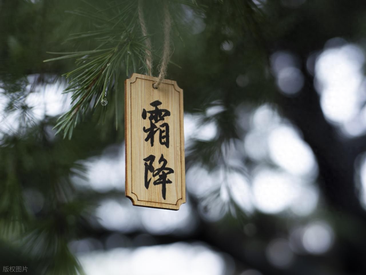 霜降的句子短句唯美20句，浪漫唯美，治愈人心