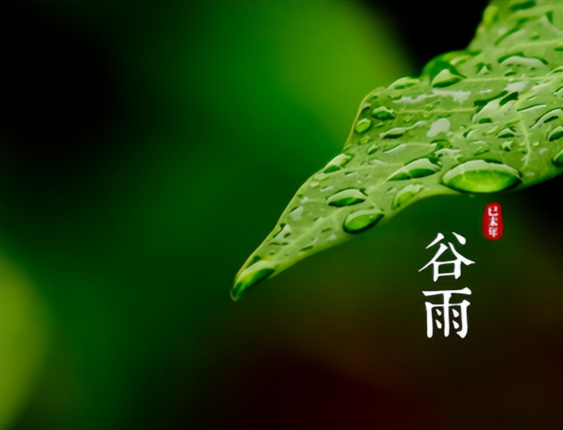 描写谷雨的唯美句子15句，且惜春光，且种希望