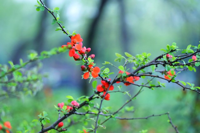 描写春天的词语18个（原文、含义及出处）