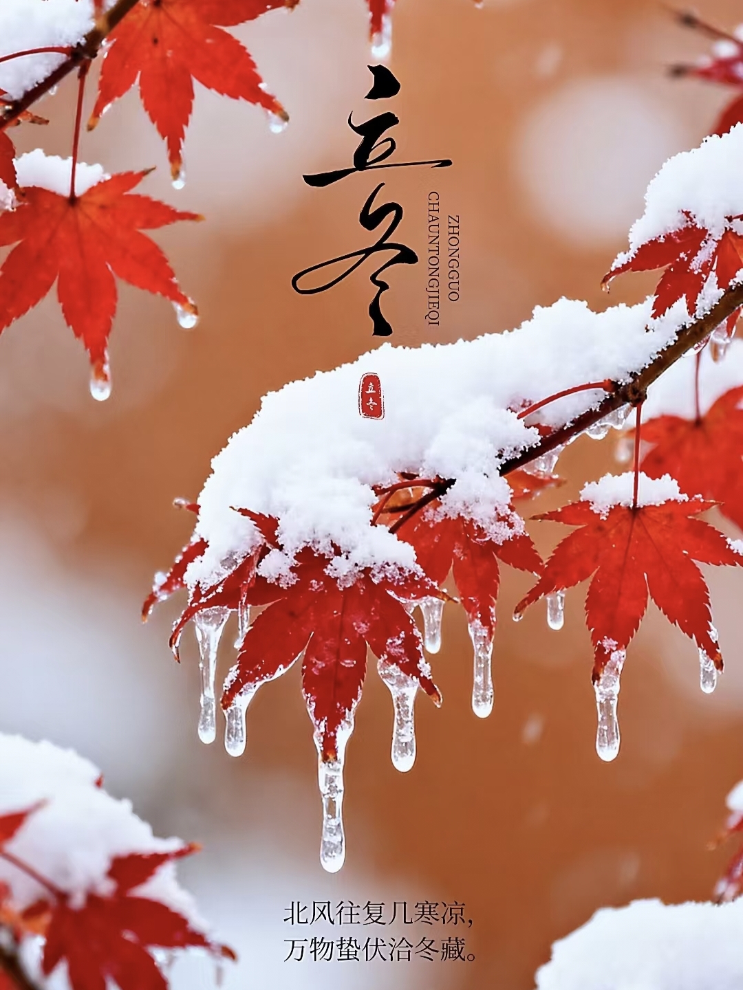 立冬朋友圈文案30句，温暖又治愈