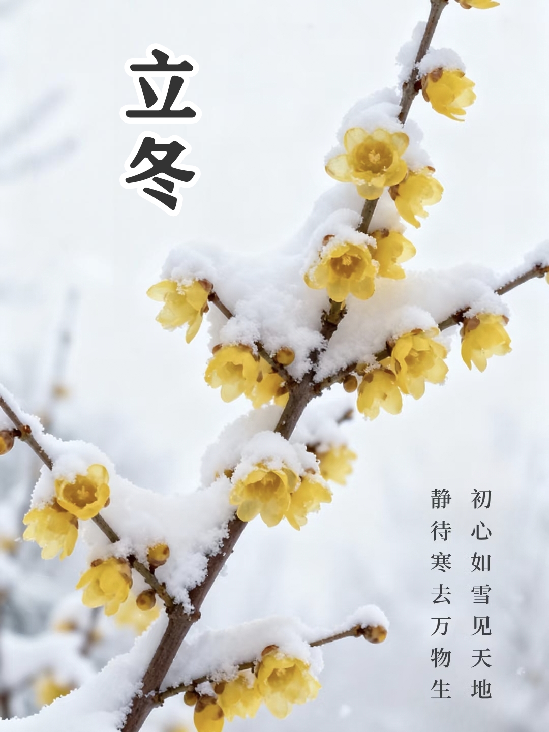 立冬朋友圈文案30句，温暖又治愈