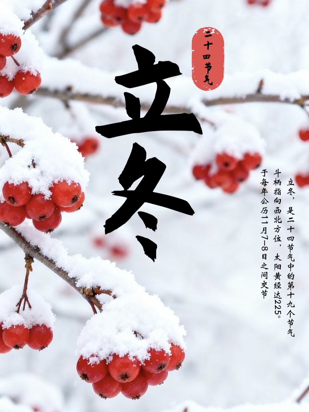 立冬朋友圈文案30句，温暖又治愈