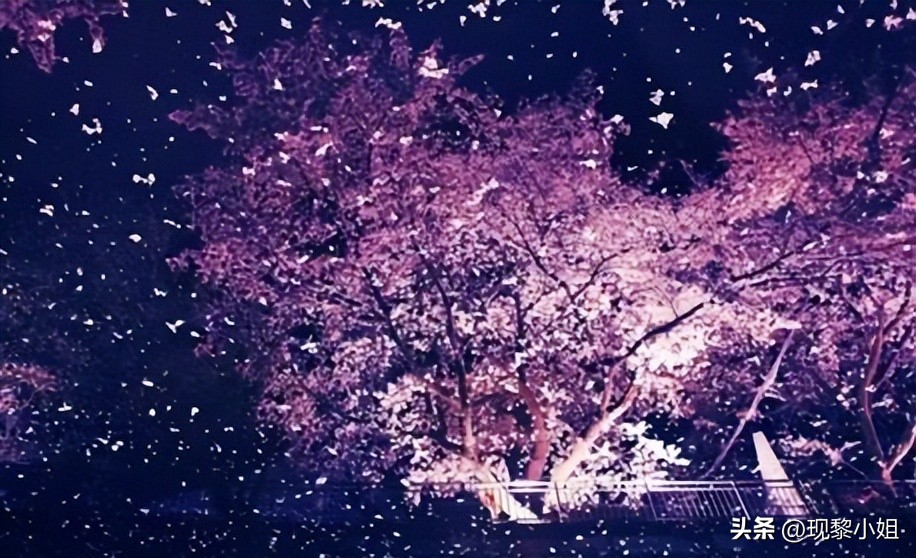 分别的文案25句,关于告别的走心文案