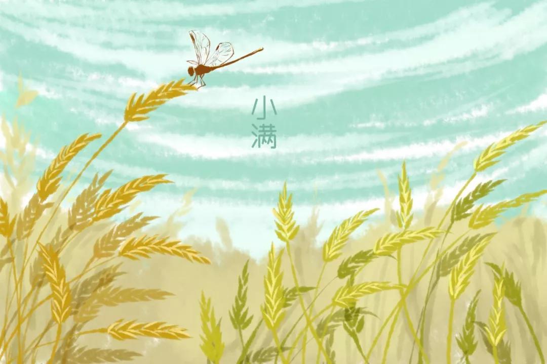 小满诗句18首,欣赏诗人的笔下的小满韵味