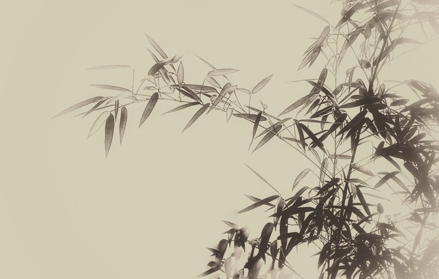 郑板桥诗8首(原文及赏析)