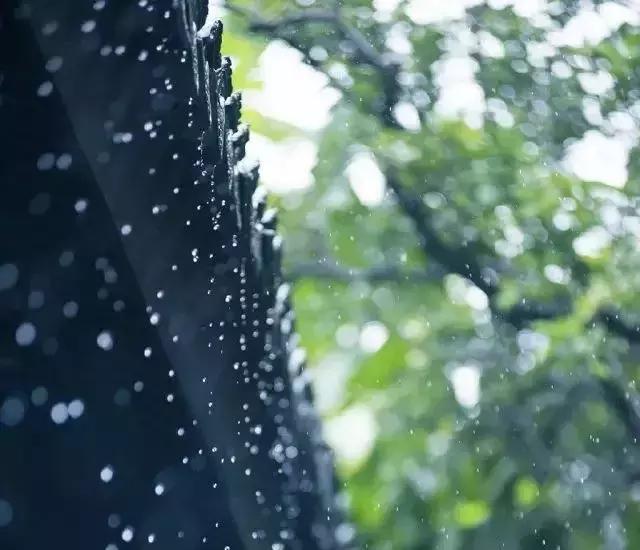 小暑的古诗10首，何以晓烦暑，唯有诵诗书