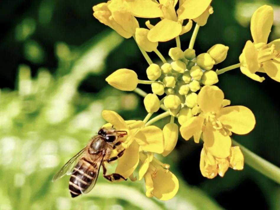 三月你好的文案30句，美好不期而遇