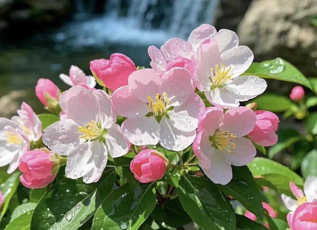 三月你好的文案30句，美好不期而遇