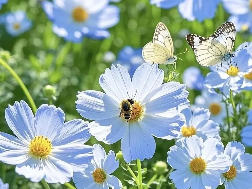 三月你好的文案30句，美好不期而遇