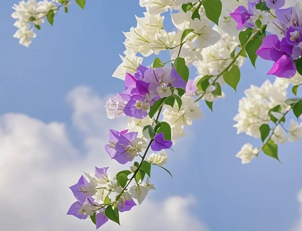 三月你好的文案30句，美好不期而遇