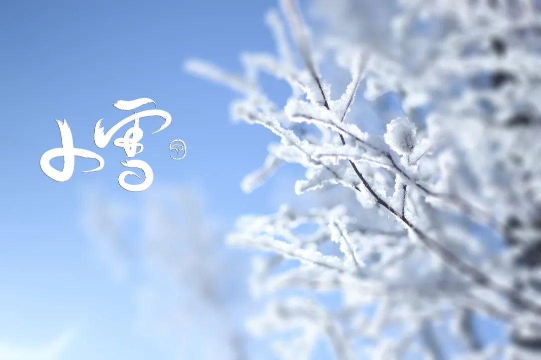 小雪诗句30句，快来看看诗词里的雪景