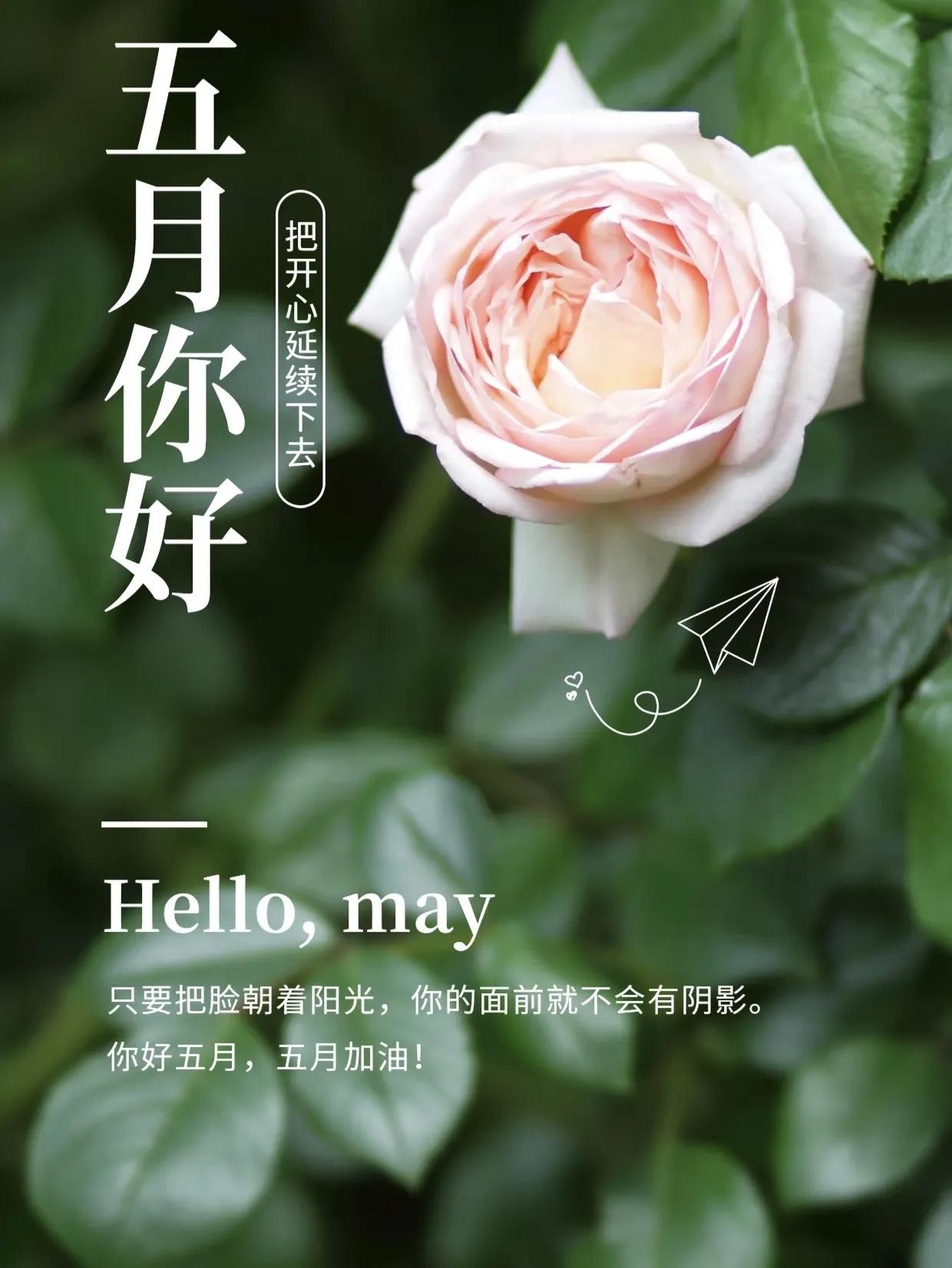 五月简短美句文案20句，挑一句惊艳整个夏天