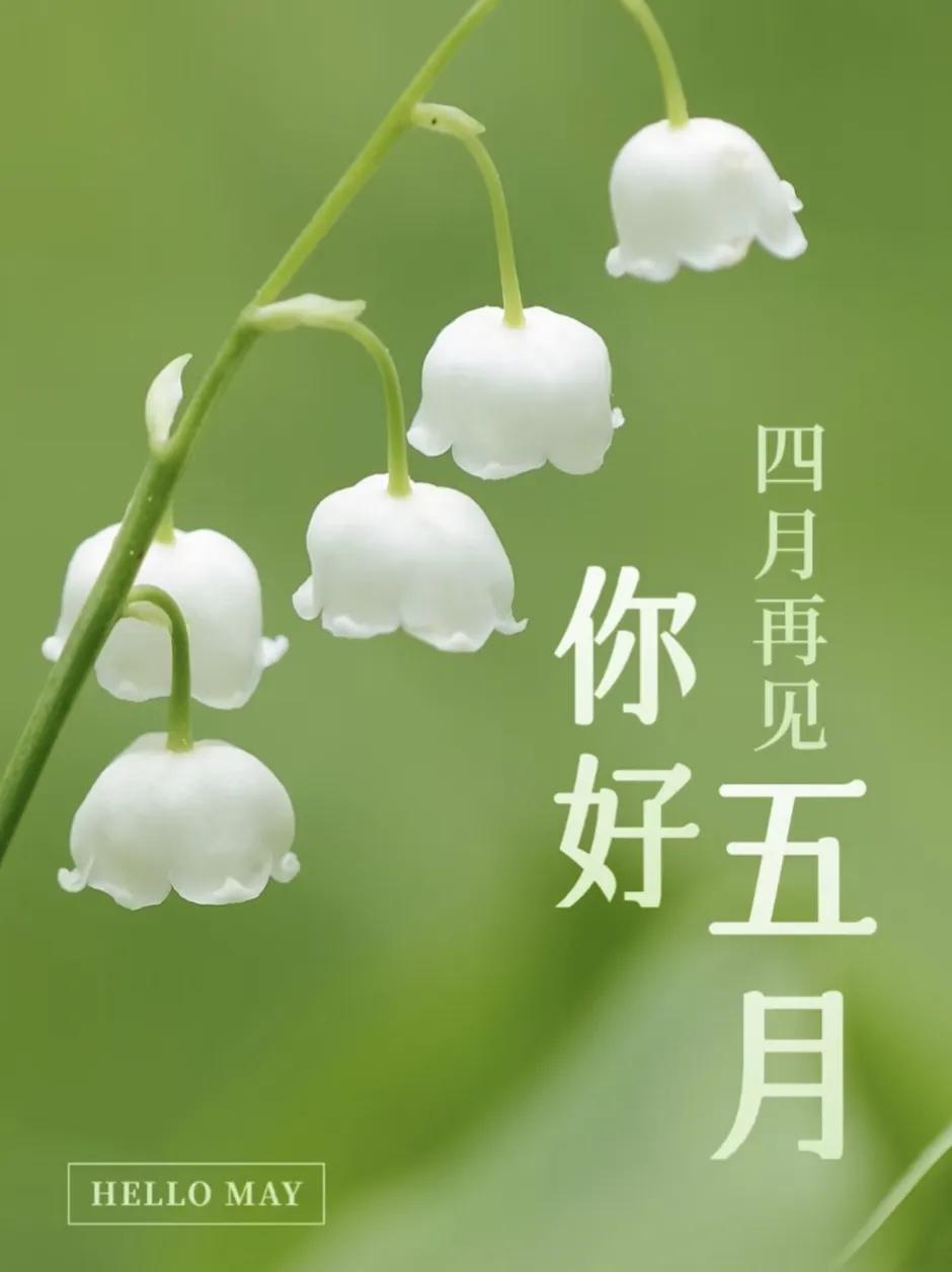 五月简短美句文案20句，挑一句惊艳整个夏天