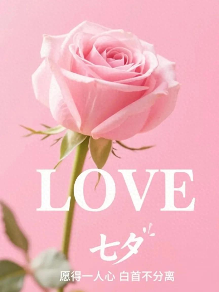 七夕表白文案20句，甜蜜暖心，深情撩人