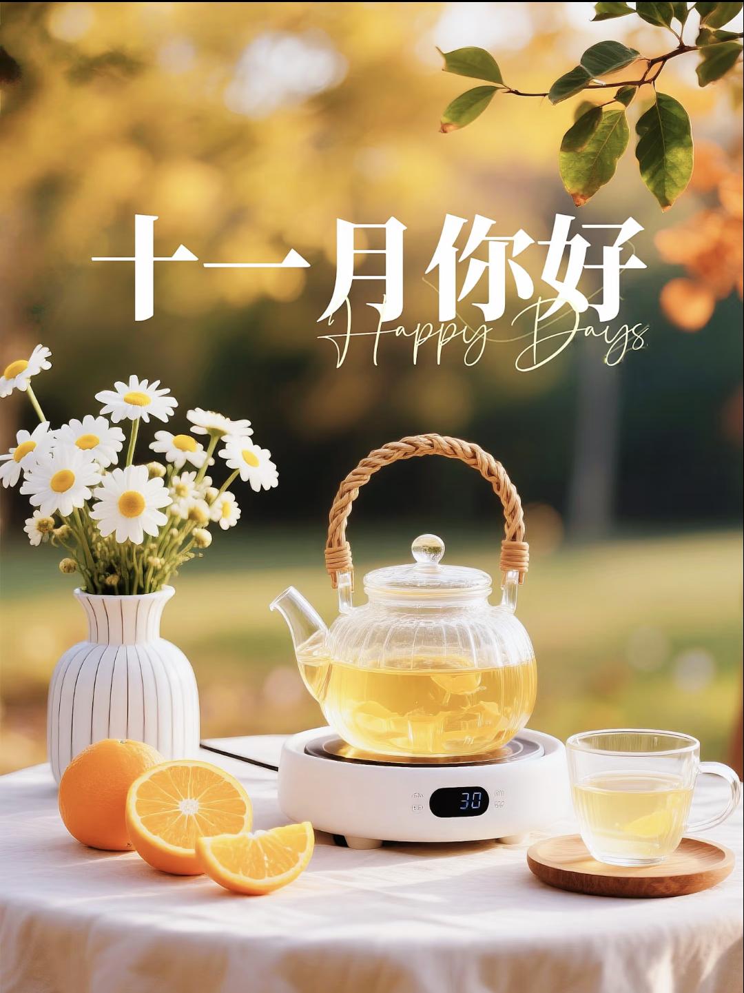 十一月文案30句，愿你脚下有路，未来可期