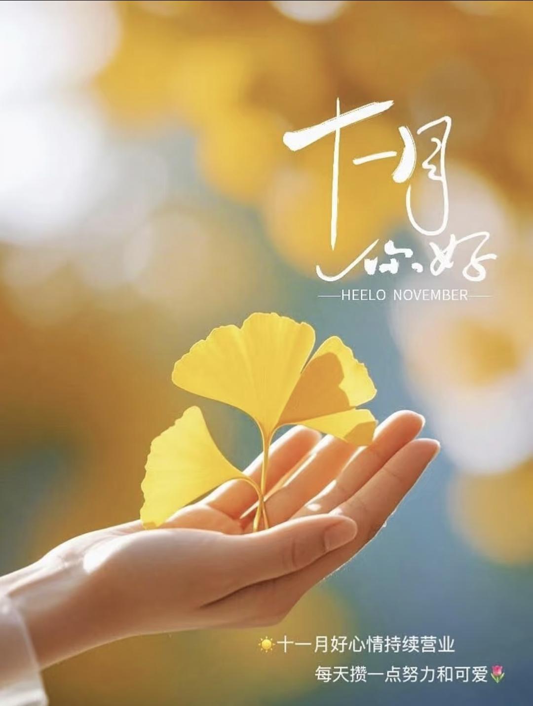 十一月文案30句，愿你脚下有路，未来可期