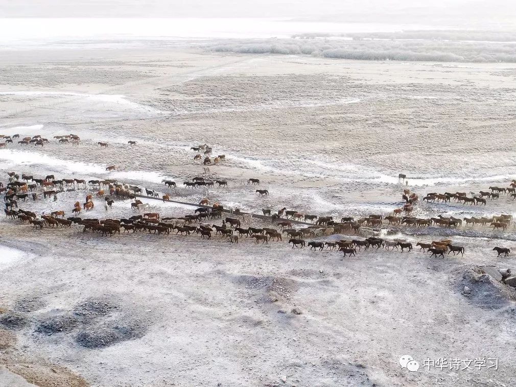 边塞诗16首，感受塞外的豪情