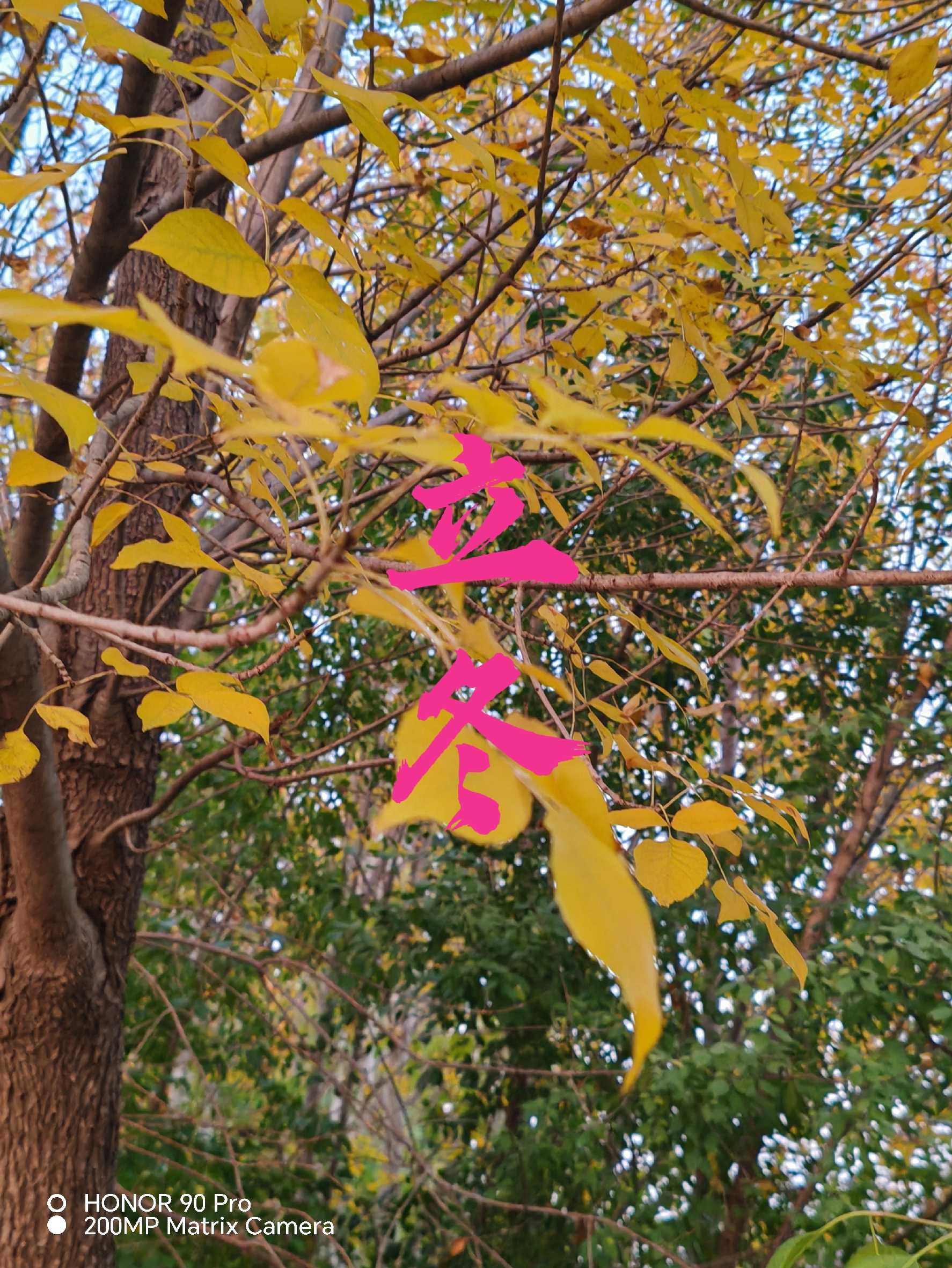 立冬古诗10首,体味诗意冬日