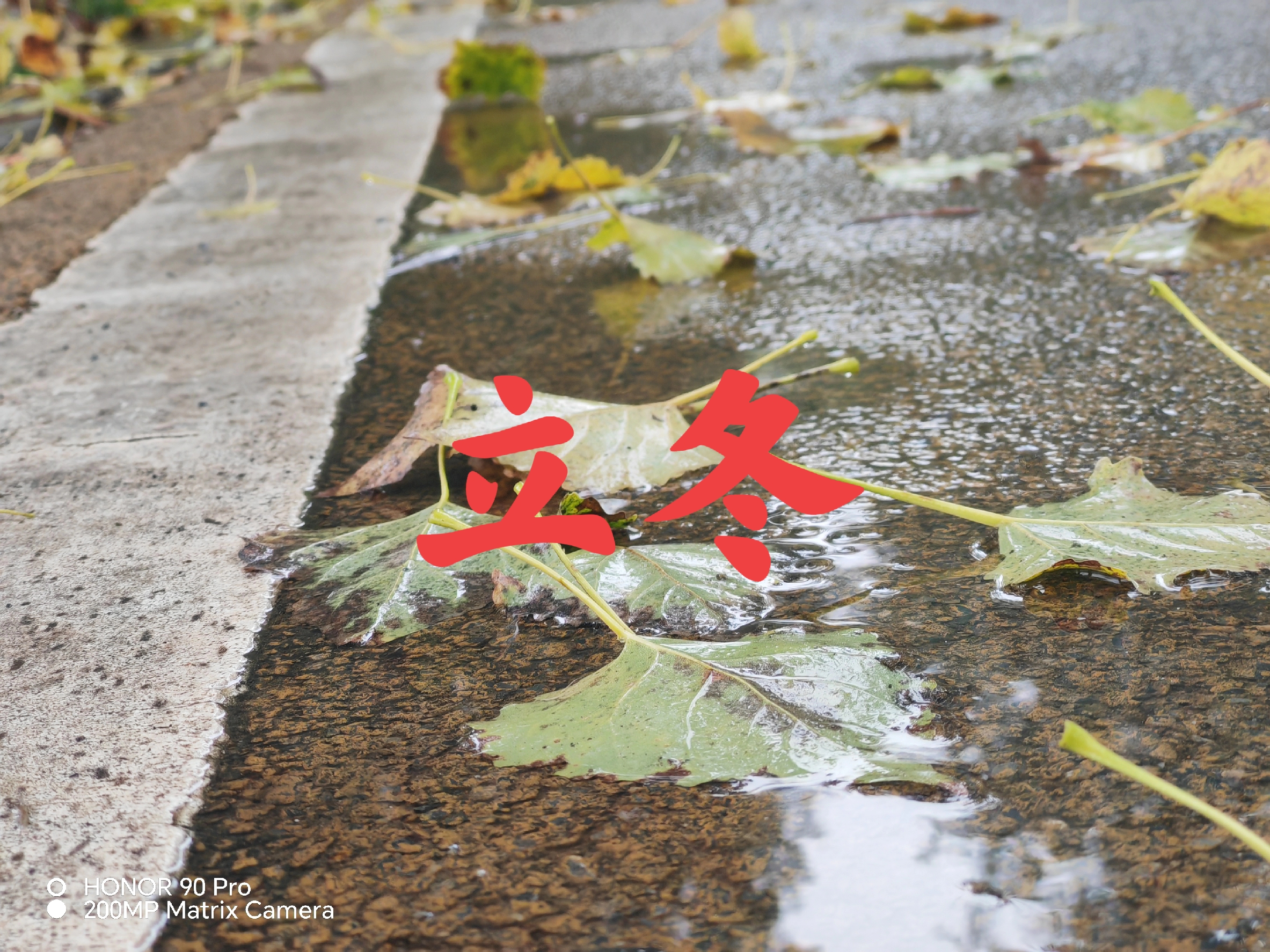 立冬古诗10首,体味诗意冬日