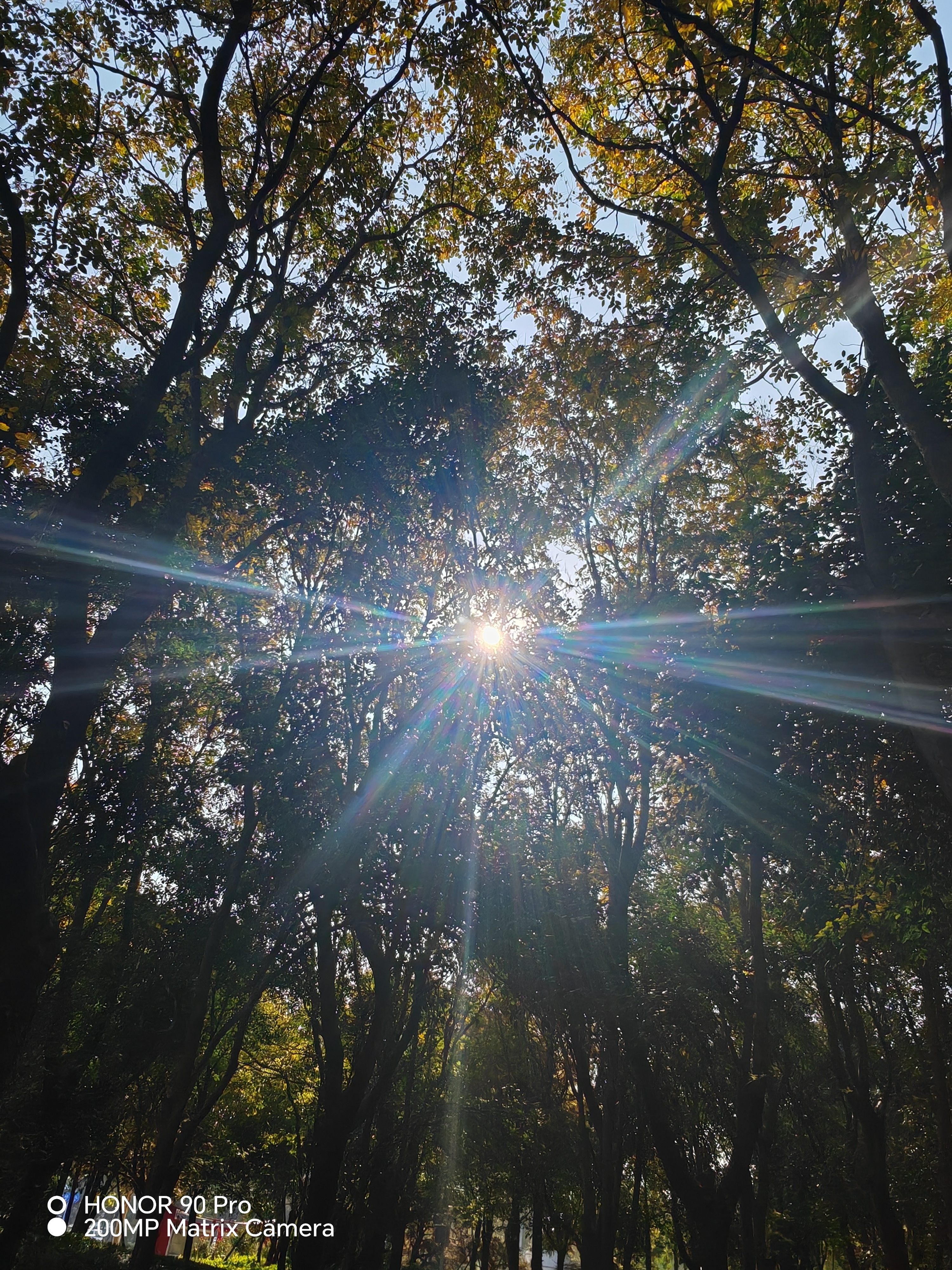 立冬古诗10首,体味诗意冬日