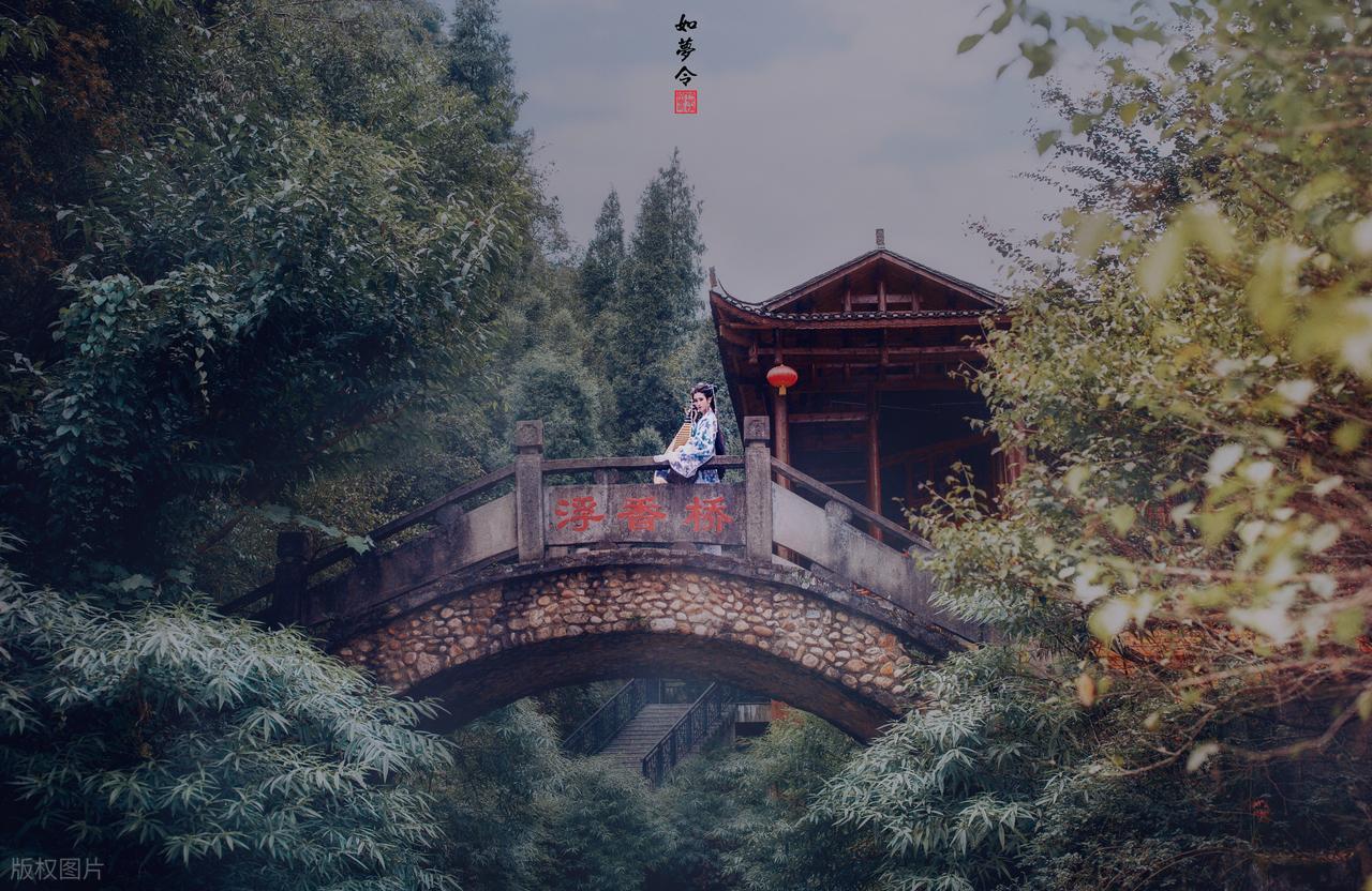 李清照的作品20首,说尽一生,美到极致